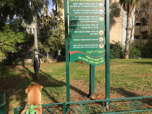 הכניסה לכלבים אסורה | צילום: איתי ארבל
